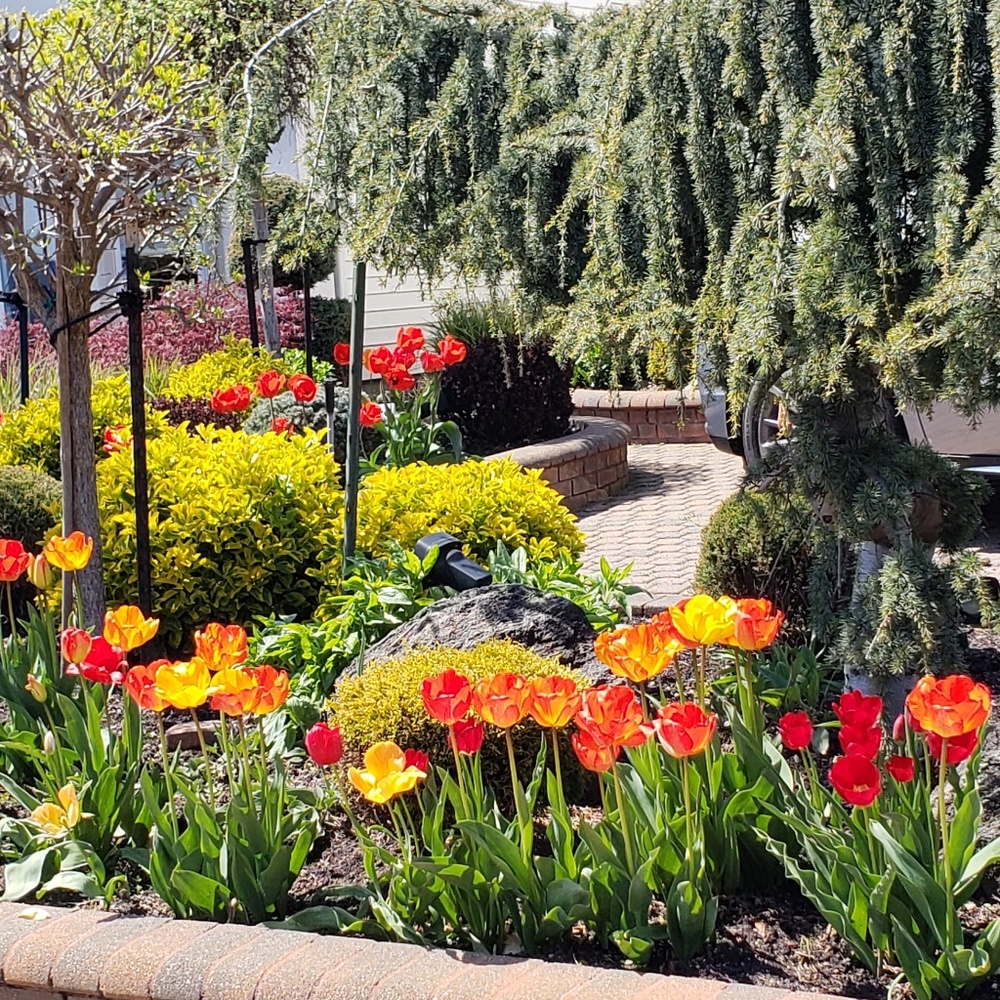 Meet your Posher, Patricia